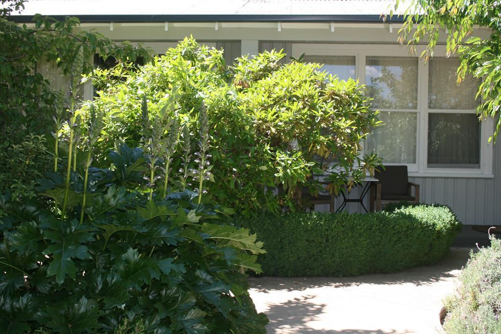 Elm Lodge Bright Bagian luar foto