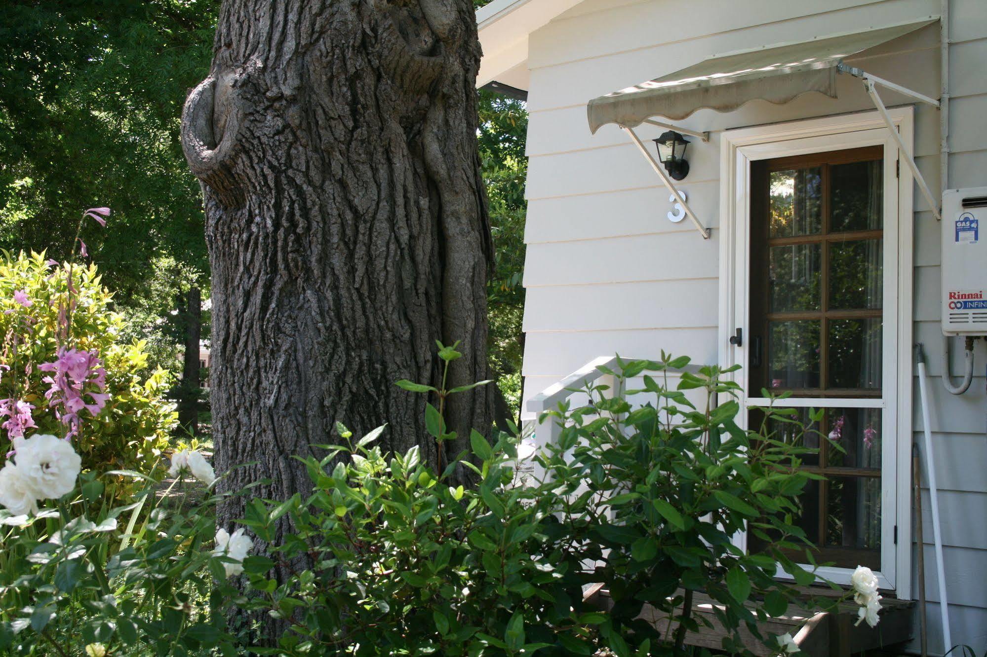 Elm Lodge Bright Bagian luar foto